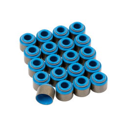 Valve Stem Seals