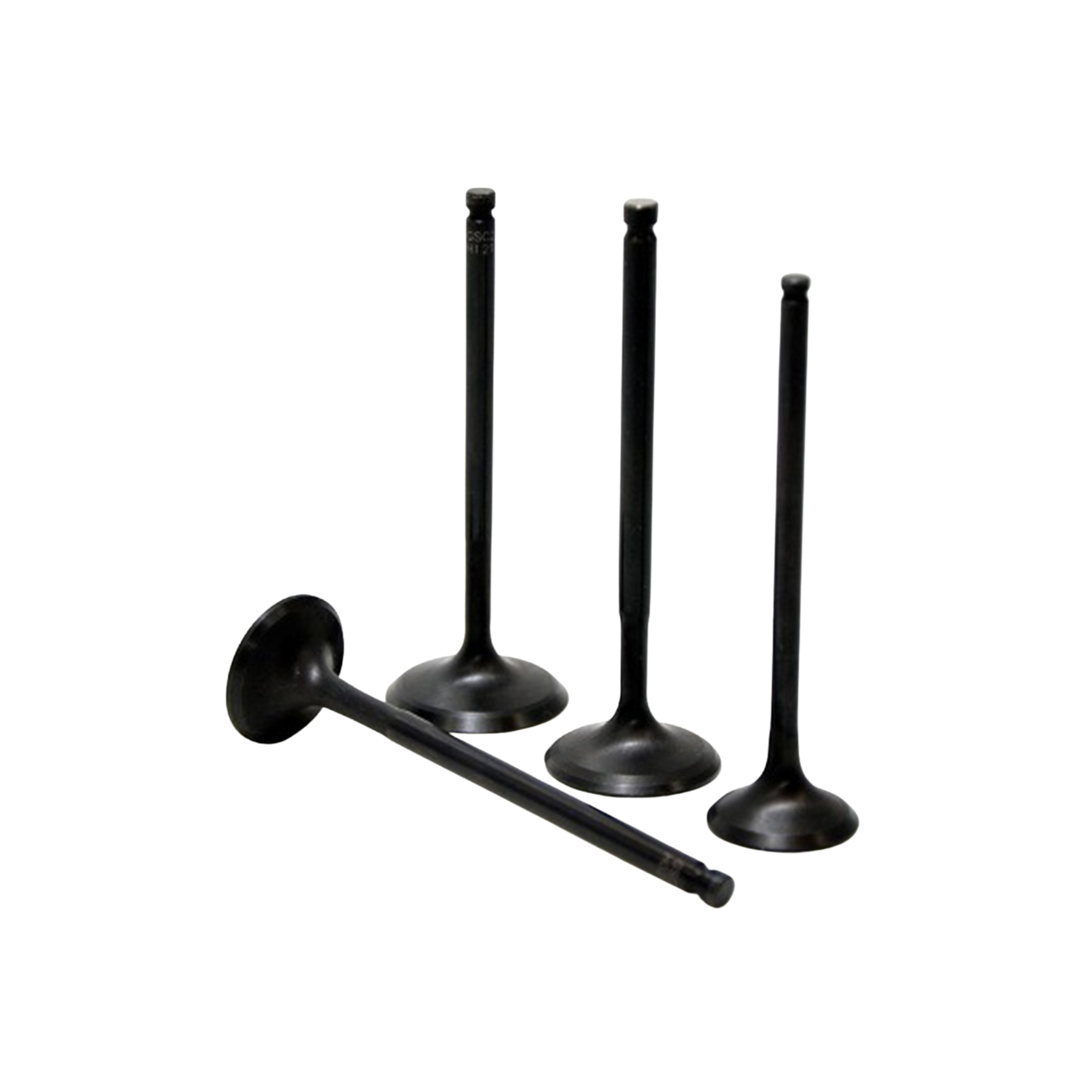 GSC Power-Division Intake Valve 34mm (+1mm) for the Honda B-Series DOHC VTEC