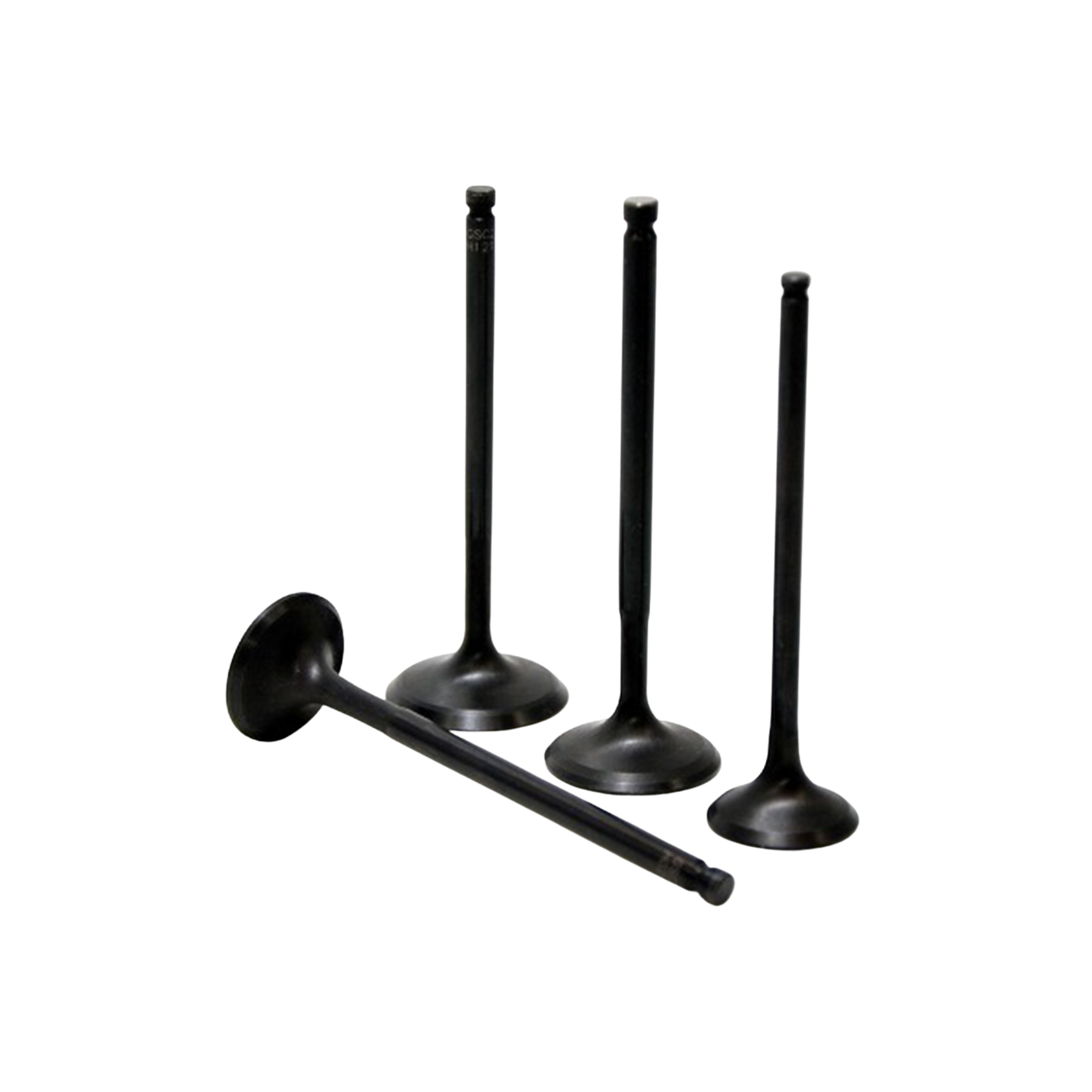 GSC Power-Division Exhaust Valve 31mm (+1mm) for the Honda K-Series DOHC VTEC