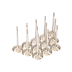 GSC Power Division Flat Face +1mm Intake Valves Nissan VR38DETT