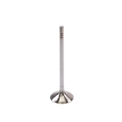 GSC Power-Division Super Alloy +1mm Head Exhaust Valve for the 5.0L Coyote GEN 1/2