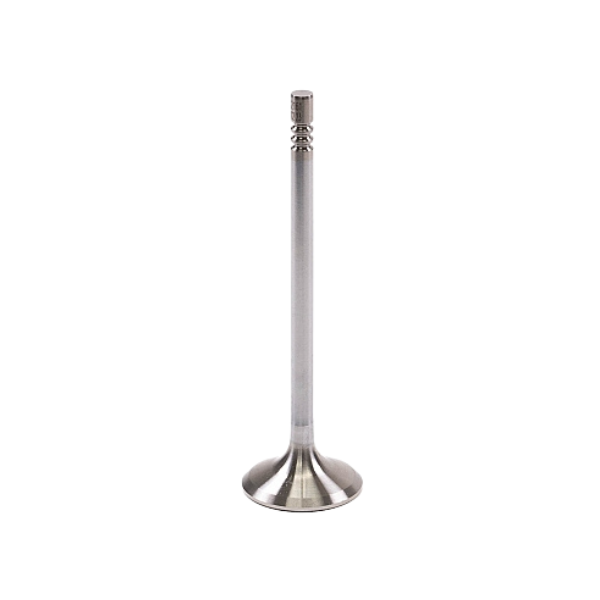 GSC Power-Division Stainless Steel STD Size Head Exhaust Valve for 5.0L Coyote GEN 3