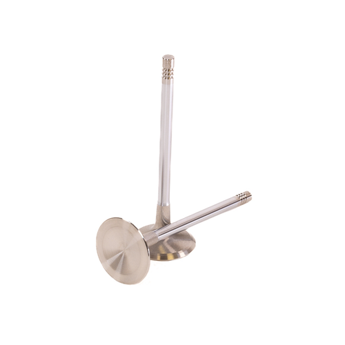 GSC Power Division Intake Valves for Audi 2.5L Daza / DNWA Engines