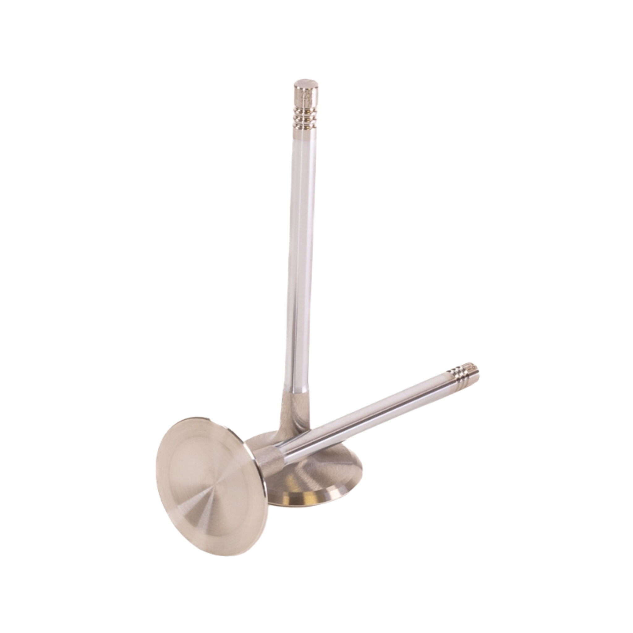 GSC Power Division Exhaust Valves for Audi 2.5L DAZA/DNWA 5 Cylinder Engine