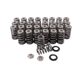 GSC Power-Division High Pressure Ovate Conical Spring kit for the Gen 1/2 Ford Coyote