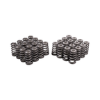 GSC Power-Division High Pressure Ovate Conical Spring kit for the Gen 1/2 Ford Coyote