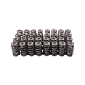 GSC Power-Division High Pressure Ovate Conical Spring kit for the Gen 1/2 Ford Coyote