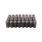 GSC Power-Division High Pressure Ovate Conical Spring kit for the Gen 1/2 Ford Coyote