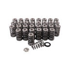 GSC Power-Division High Pressure Ovate Conical Spring kit for the Gen 1/2 Ford Coyote