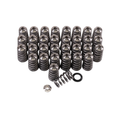 GSC Power-Division Ovate Conical Spring kit Ford Voodoo and Preditor 5.2L