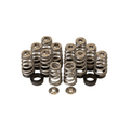 GSC Power-Division Conical Valve Spring with Ti Retainer and Seat for the Toyota G16E-GTS