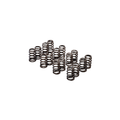 GSC Power-Division 4G63T Single Beehive Spring set for Evo 8/9