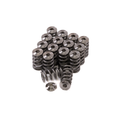 GSC Power-Division Beehive Spring set with Titanium Retainer for the Hyundai G4KF Theta