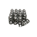 GSC Power-Division SR20-DET Beehive Spring Upgrade with Titanium Retainer