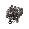 GSC Power-Division Conical Spring Set with Titanium Retainer and Chromoly Seat for the Subaru Turbo EJ Platforms
