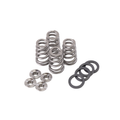 GSC Power-Division High Lift High Pressure CONICAL Valve Spring with Ti Retainer for TB48 (W/SEATS)
