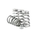 GSC Power-Division High Boost CONICAL Valve Spring kit for TB48