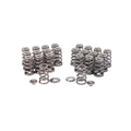 GSC Power-Division Conical Spring set with Titanium Retainer and Chromoly Seat for the Porsche 991/992 Turbo