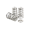 GSC Power-Division Race Conical Spring kit with Ti Retainer 4G63T