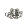 GSC Power-Division Single Valve Spring Kit for FA20 WRX/BRZ/FRS