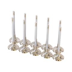 Intake Valves