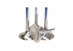 Exhaust Valves