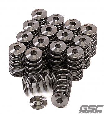 GSC Power-Division Beehive Spring set with Titanium Retainer for the Hyundai G4KF Theta