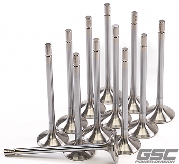 GSC Power-Division Stainless Steel STD Size Exhaust Valve for the VR30DDTT