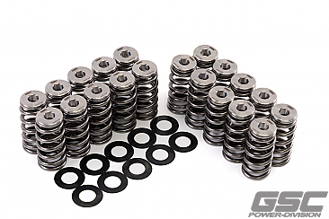 GSC Power-Division Beehive Valve Spring with Ti Retainer for the Audi RS3 Daza