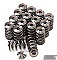 GSC Power-Division Beehive Spring set with Titanium Retainer for the 4B11T