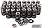 GSC Power-Division High Pressure Ovate Conical Spring kit for the Gen 1/2 Ford Coyote